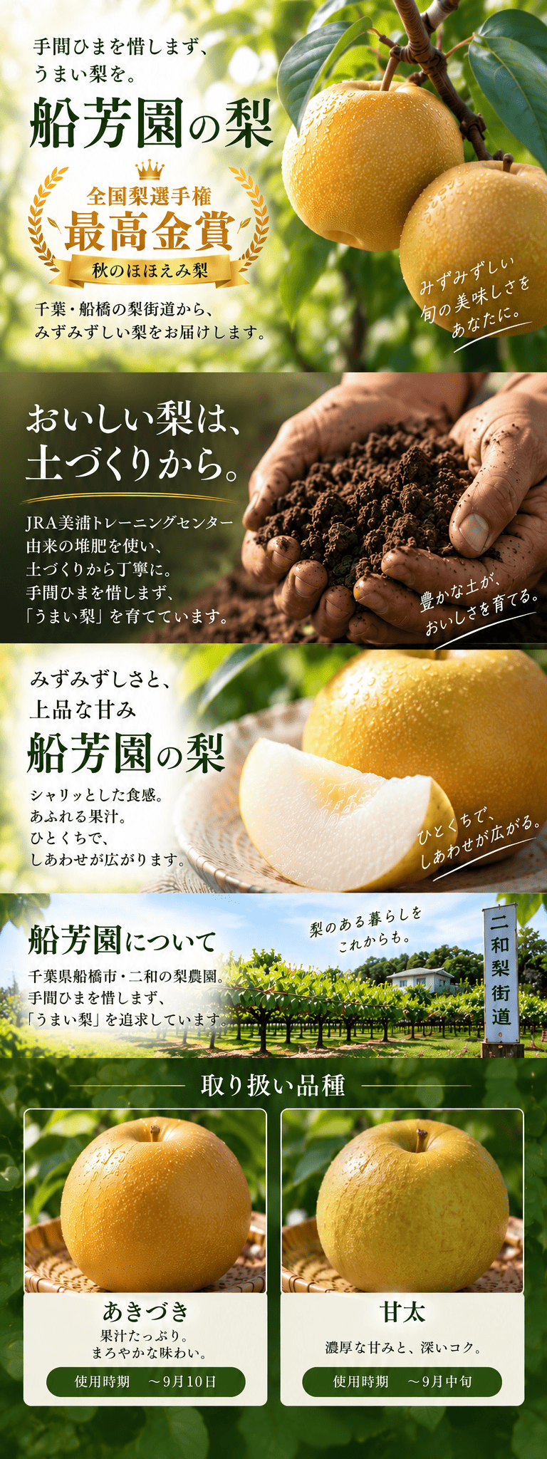 船芳園の旬の梨を使用したフルーツギフト