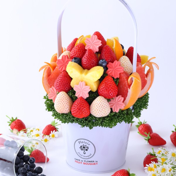 （冬）Cerisier（Mサイズ）