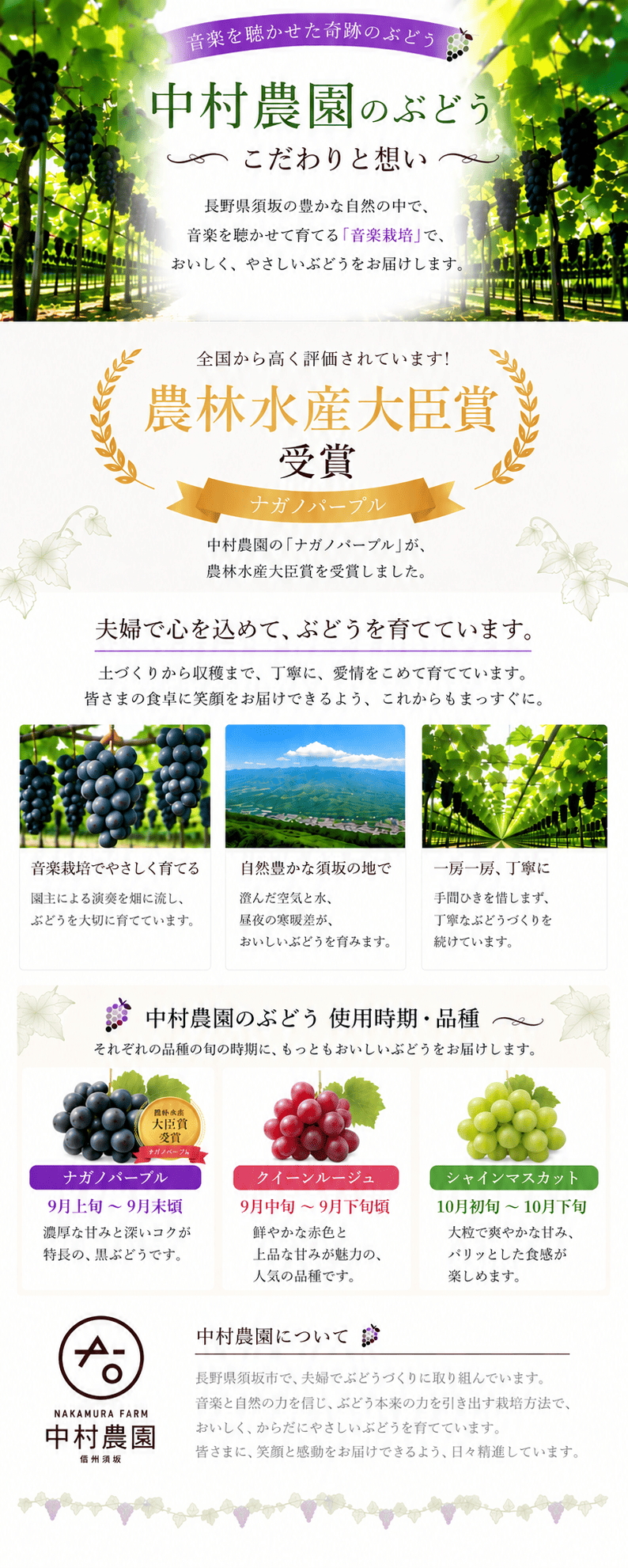 長野県須坂市 中村農園のナガノパープルを使用したフルーツギフト
