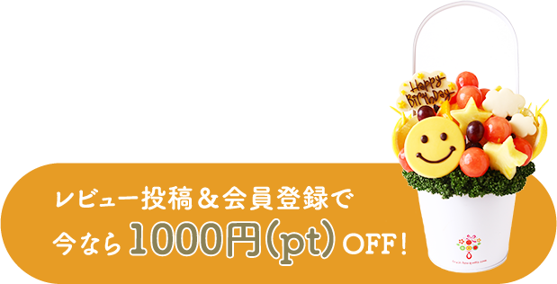 レビュー投稿＆会員登録で今なら1000円(pt)OFF!