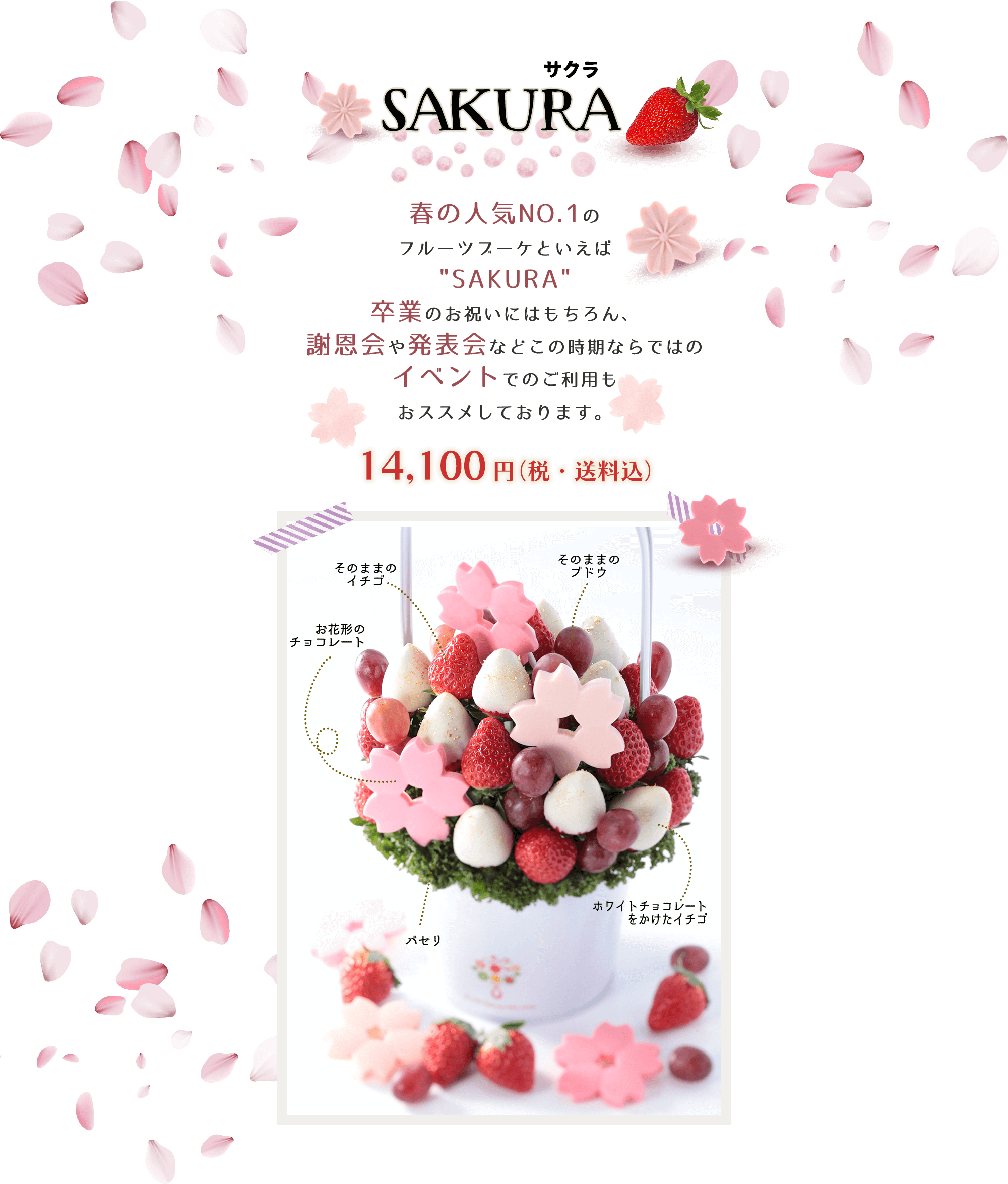 SAKURA サクラ 14,100円（税・送料込み）