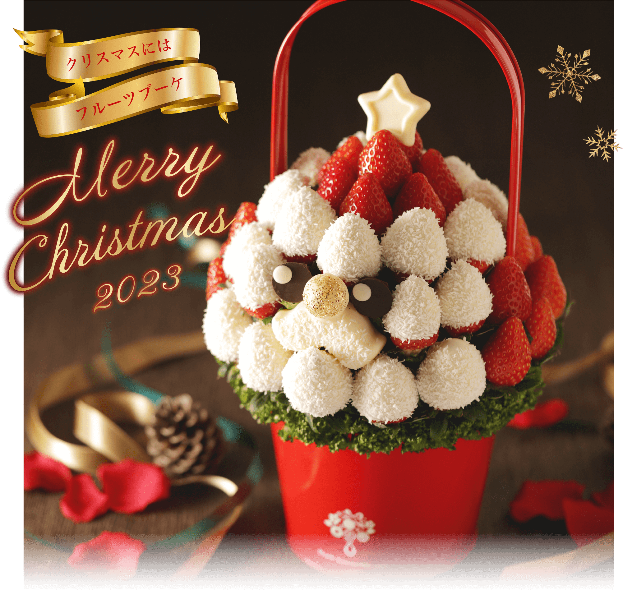 Merry Christmas Plaisir