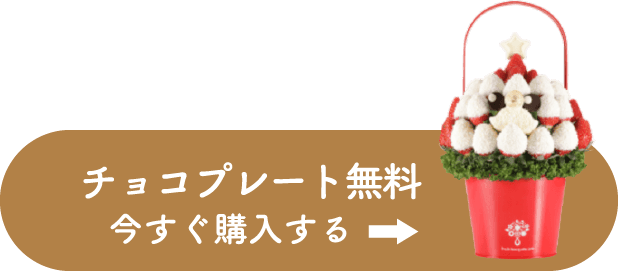 今すぐ購入する