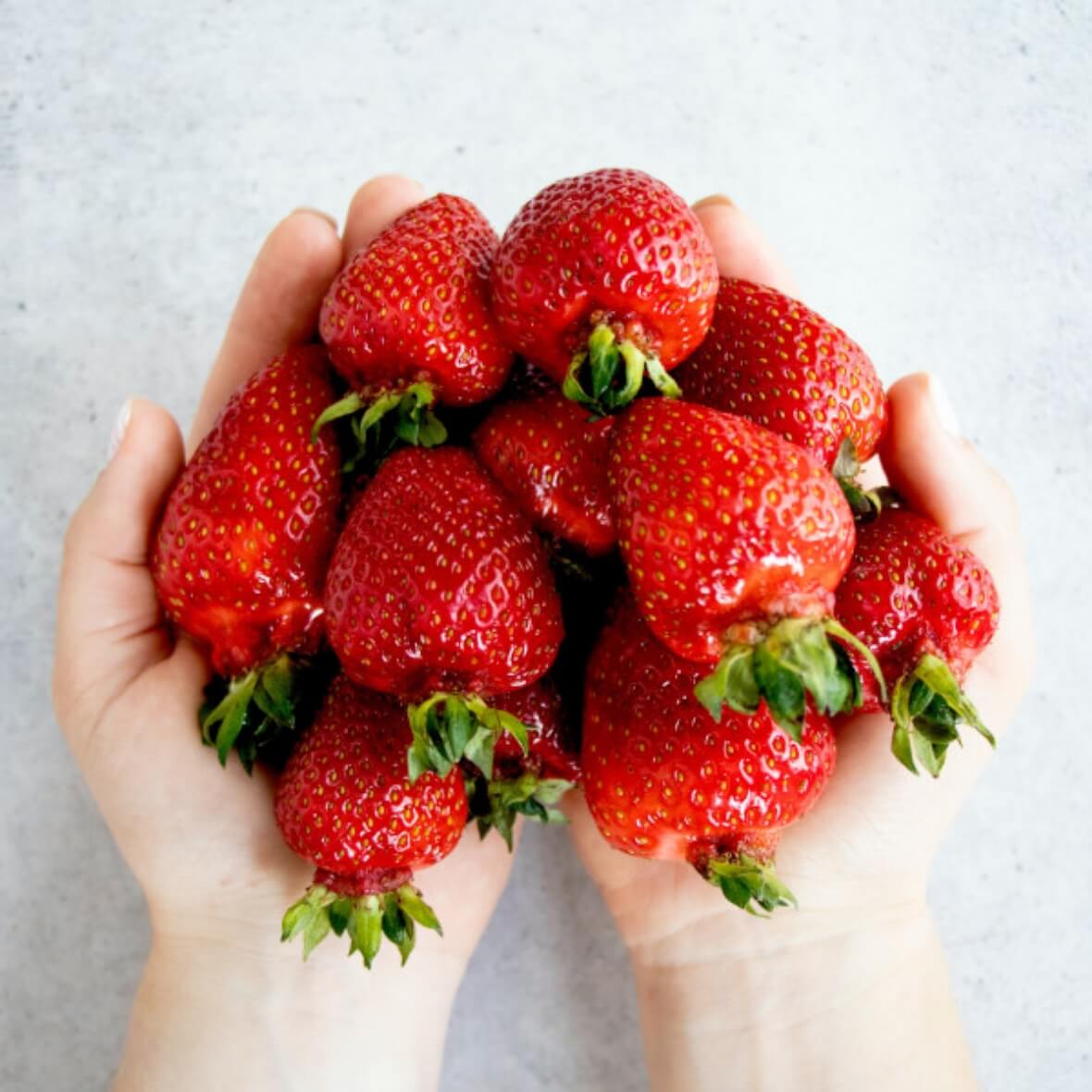 HEALTHY ヘルシー