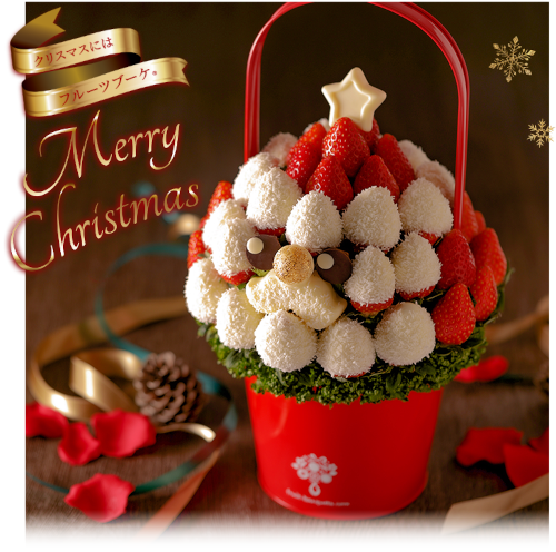 Merry Christmas Plaisir